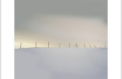 Image 7298