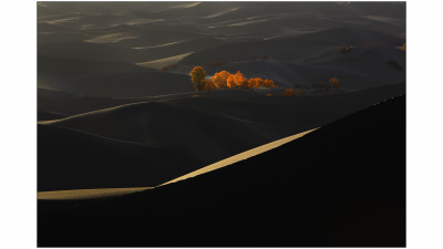 타크라마칸사막