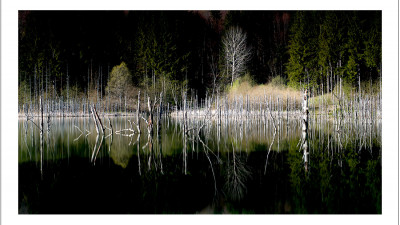 Cuejdel Lake