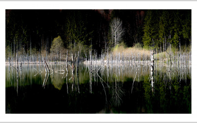 Cuejdel Lake