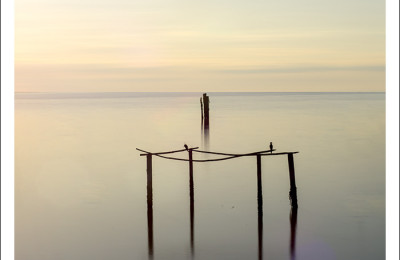 Image 7463