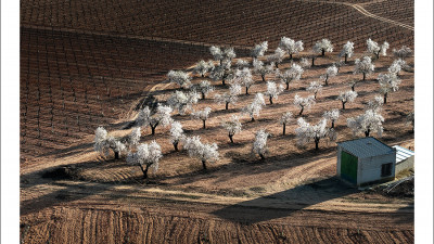 The Spring of Spain V