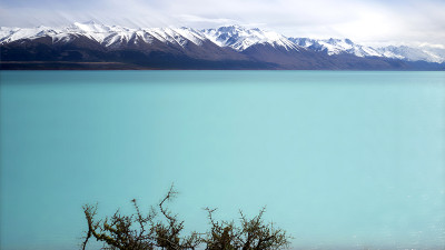 푸카키 호수 (뉴질랜드 남섬)