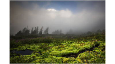 Mt.Rainier