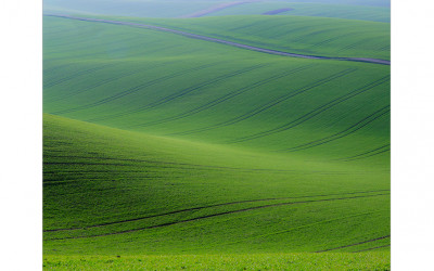 South  Moravia 2