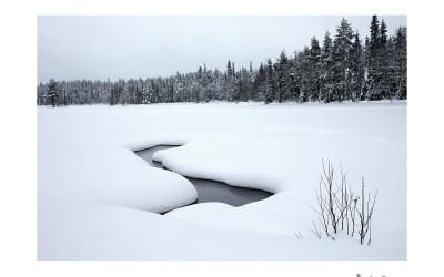 핀란드의 겨울