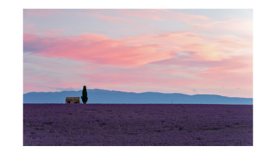 The Morning of Valensole