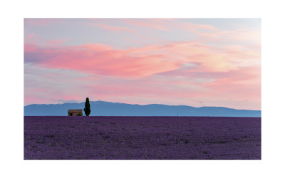 The Morning of Valensole