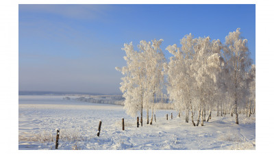시베리아 겨울 벌판
