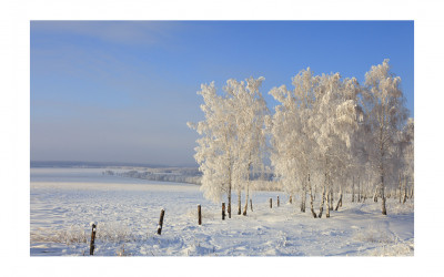 시베리아 겨울 벌판