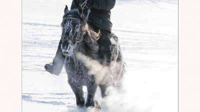 SIBERIAN  WINTER