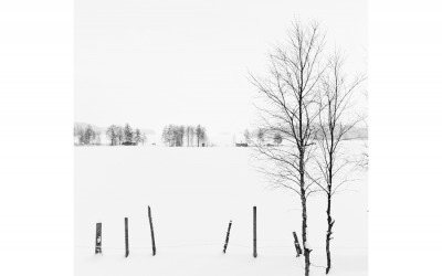 핀란드 겨울 2