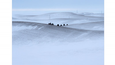 palouse7