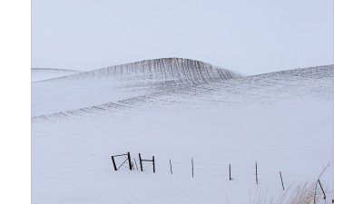 palouse9