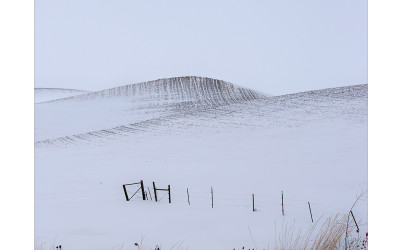 palouse9