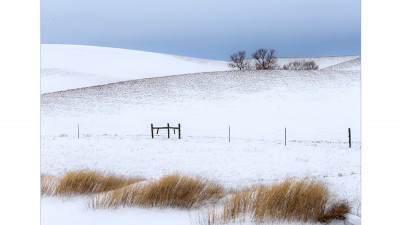 palouse12