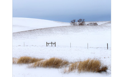 palouse12