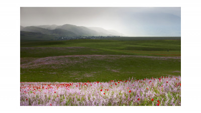 카자흐스탄의 봄