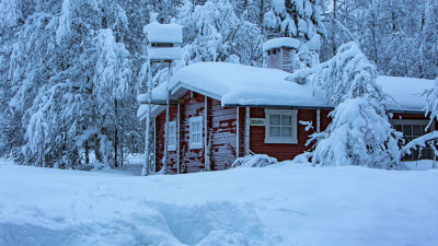 핀란드.눈.나무.겨울.사진출사에서.