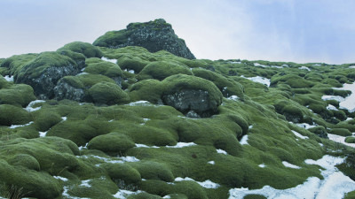 아이스란드 이끼(월드포투어 2012년사진출사)