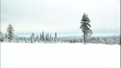 2014년의 핀란드 사진출에서.