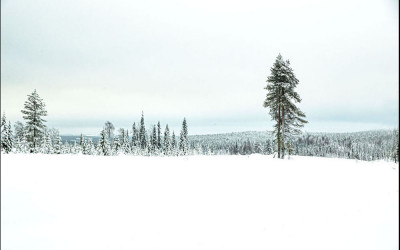 2014년의 핀란드 사진출에서.