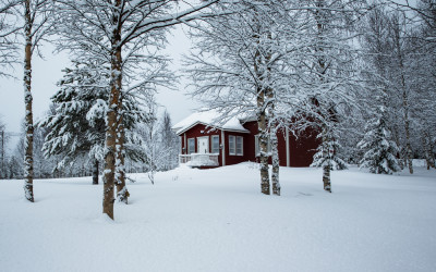 핀란드 자작나무 상고대 (월드포투어 사진출사에서)