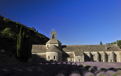 Senanque Abbey ( 세낭크 수도원 )