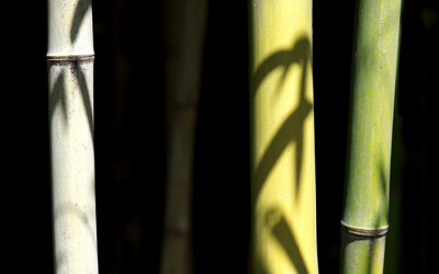 울산 국가정원에서...