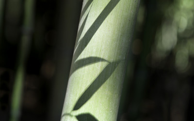 울산 국가정원에서...