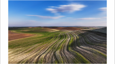 2025' Palouse