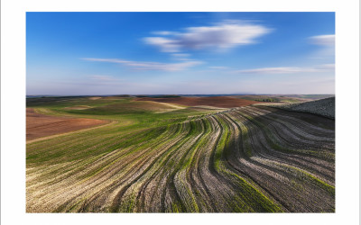 2025' Palouse