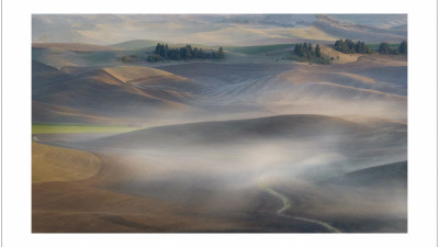 2025' Palouse