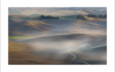 2025' Palouse