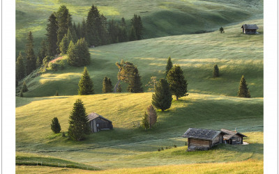Ape Di Siusi