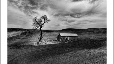 2025' Palouse