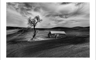 2025' Palouse