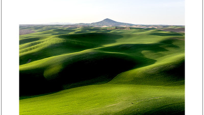 2025' Palouse