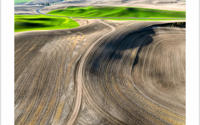 2025' Palouse