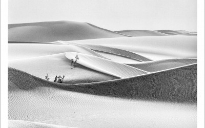 타클라마칸 사막 겨울편 #19