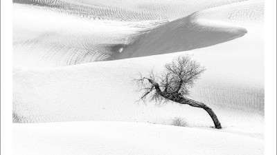 타크라마칸 사막 겨울편 #7