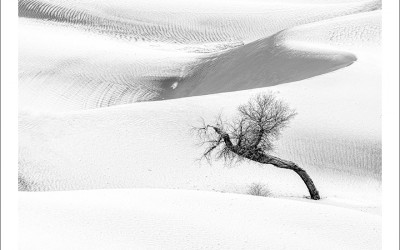 타크라마칸 사막 겨울편 #7