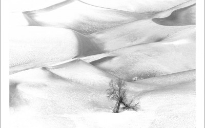 타클라마칸 사막 겨울편 #13