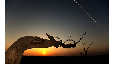 타클라마칸 사막 가을편#3