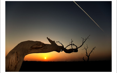 타클라마칸 사막 가을편#3