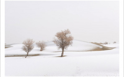 타크라마칸 사막 겨울편 #11