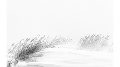 아이슬란드 내륙