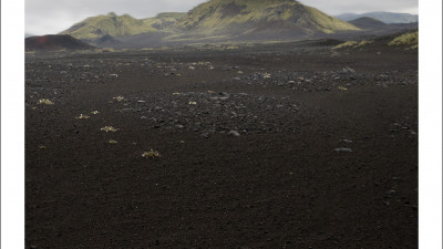 Summer of Iceland