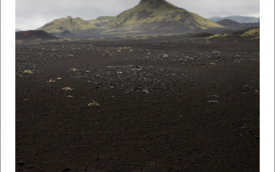 Summer of Iceland