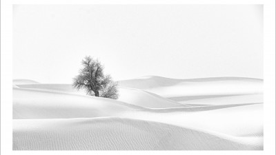 타클라마칸 사막 겨울편#20